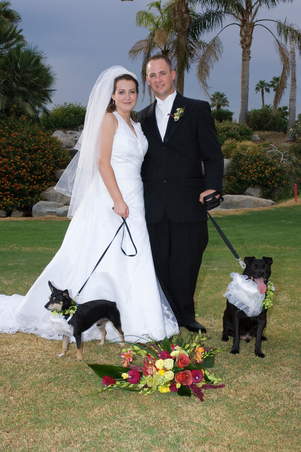 married couple with dogs