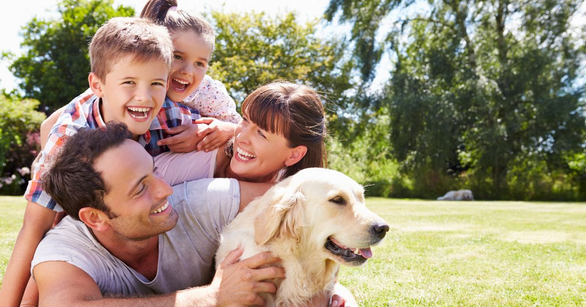 Hero image for What to Know About Redlands Dog Training Services