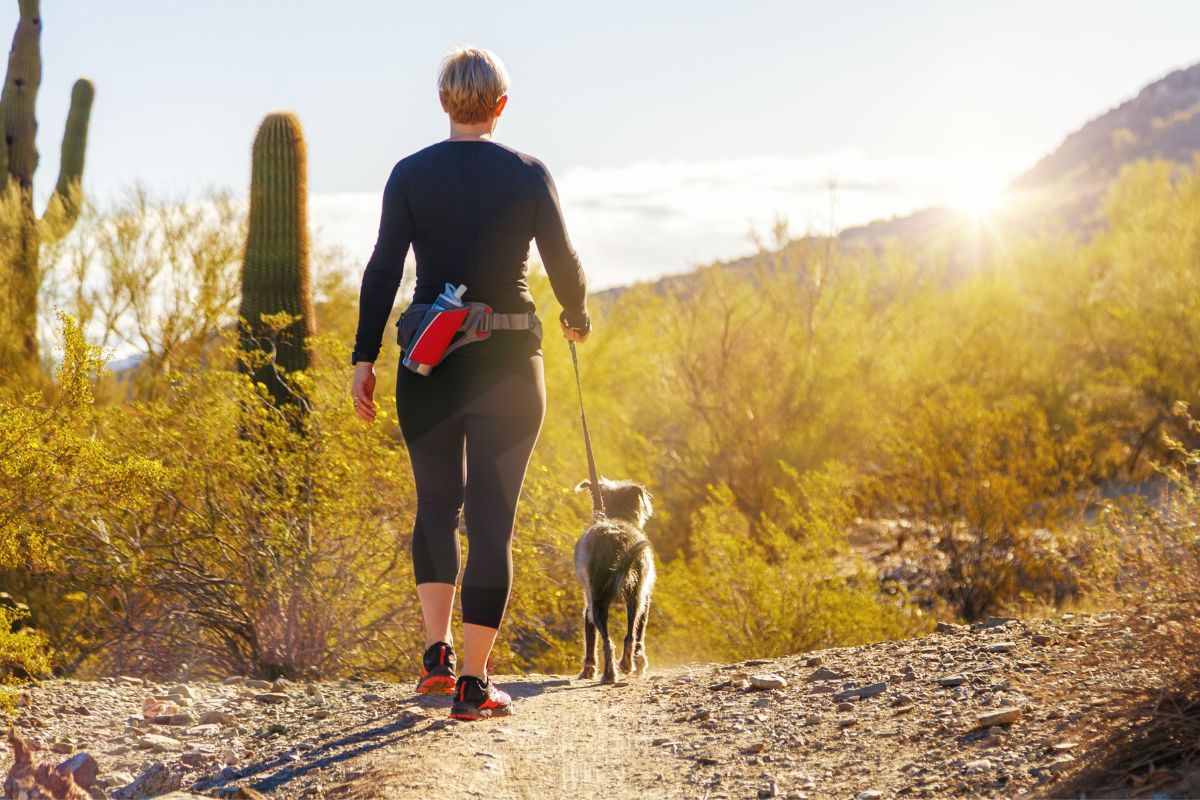 Walking a dog in Redlands