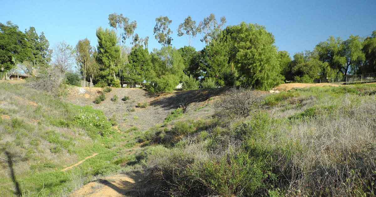 Photo of Hiking in Redlands