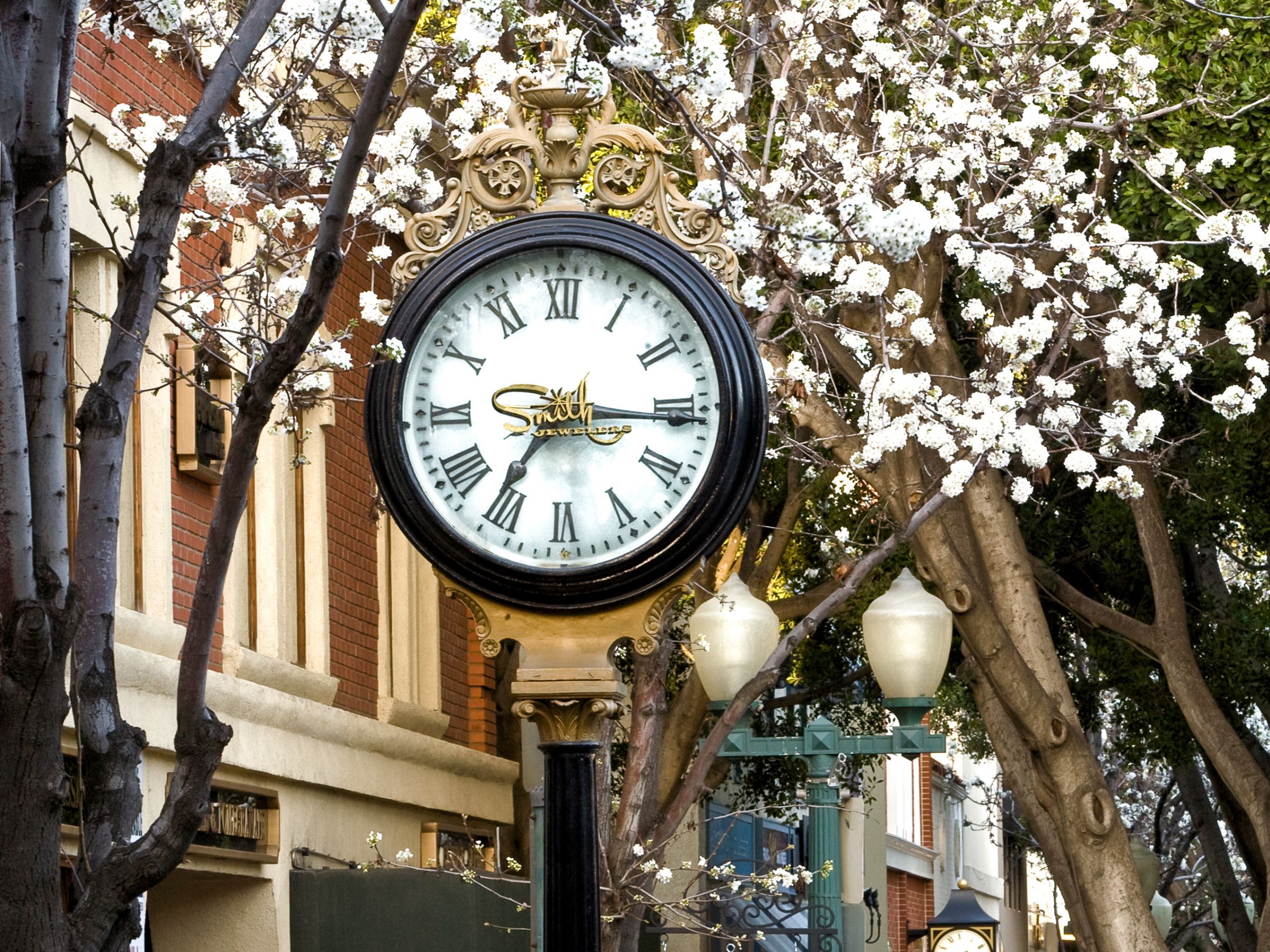 downtown Redlands in bloom with the large clock