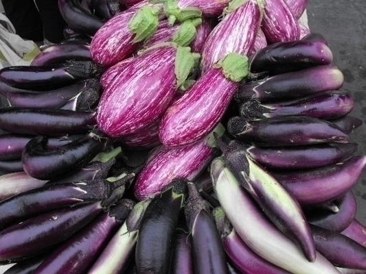 Downtown Certified Farmers Market photo 3