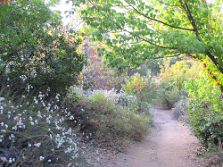 Caroline Park Trail