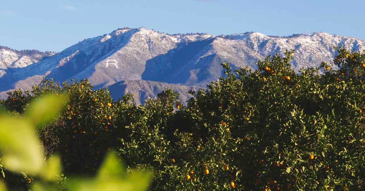 8. Hike to Redlands Mount "R"
