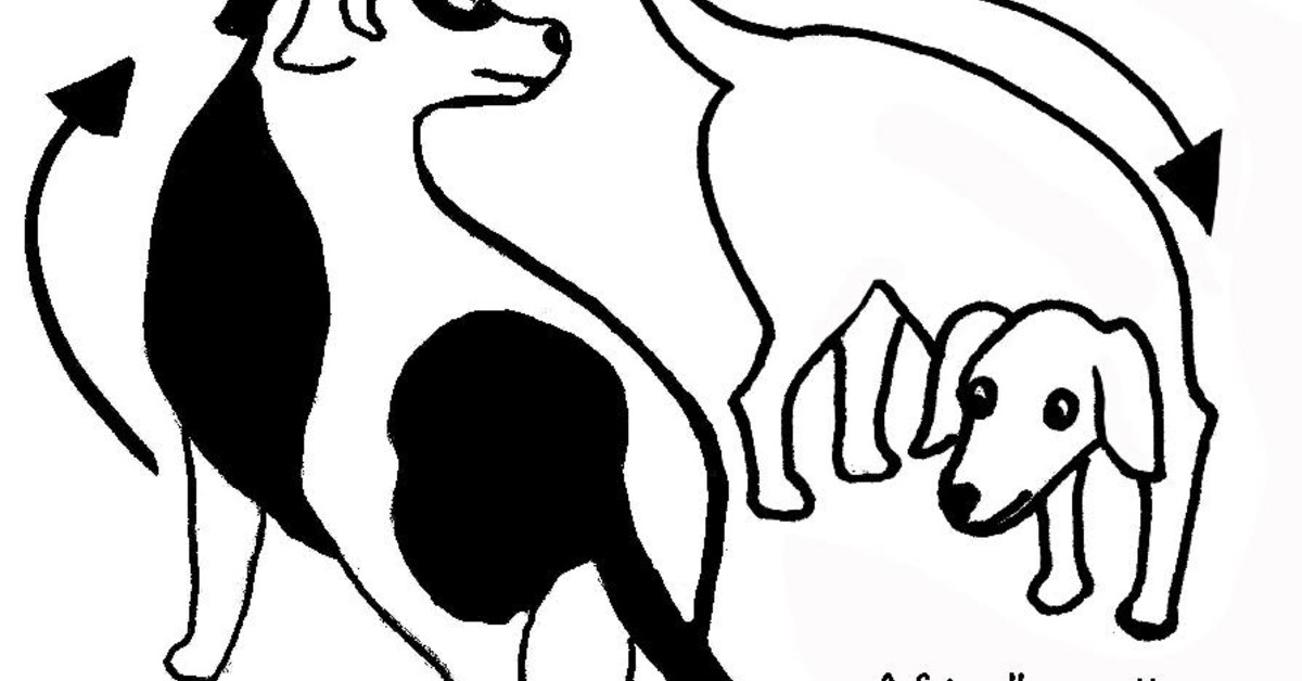 sniffing butts