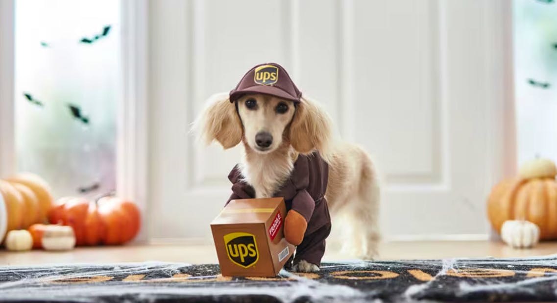 Hero image for Halloween Is for the Dogs!