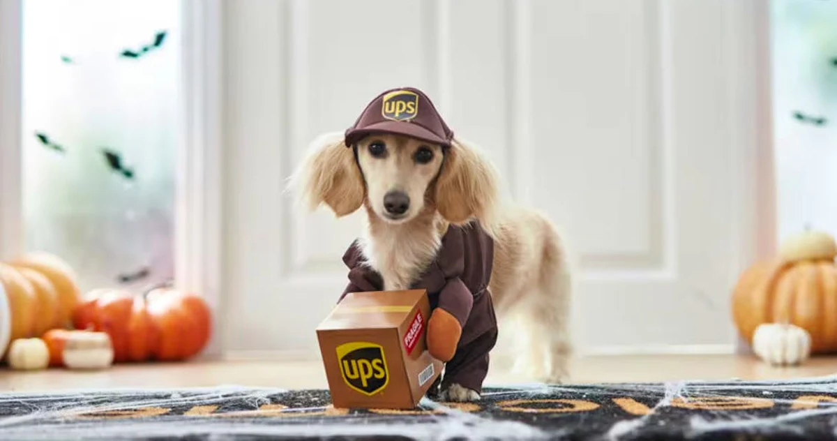 Hero image for Halloween Is for the Dogs!