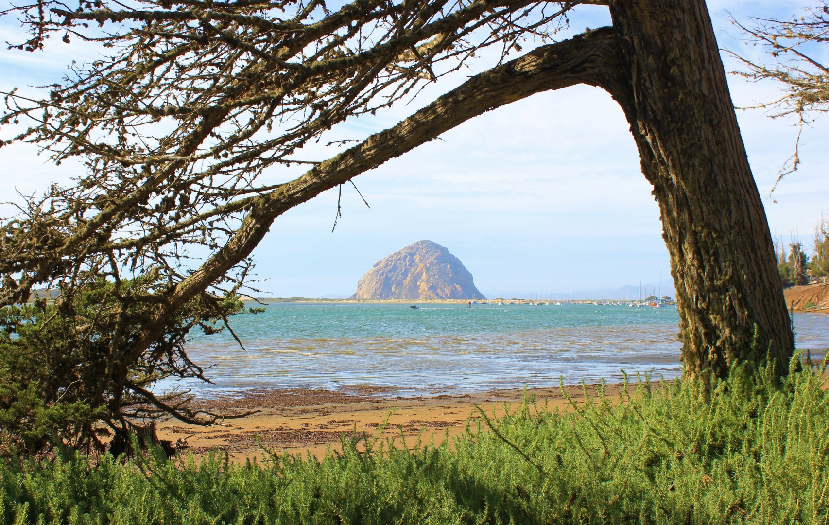 Morro Bay, Ca