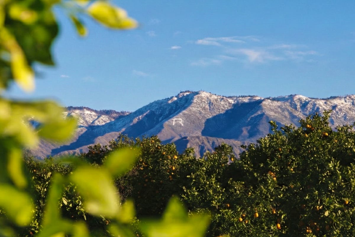 Redlands looking at San Bernardino mountains and showcasing Redlands' "R"