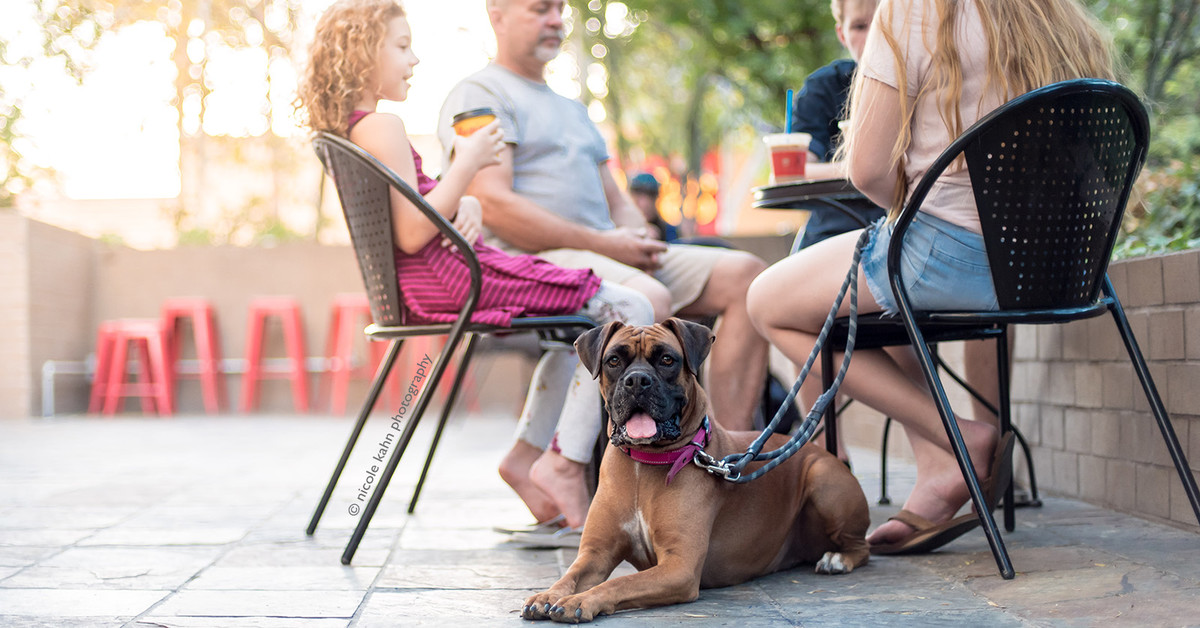 a family dining outside with their dog