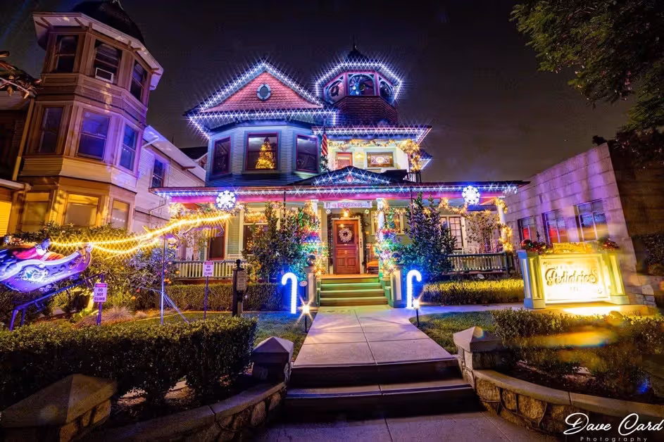 Light Up The Night: Musical Light Show
