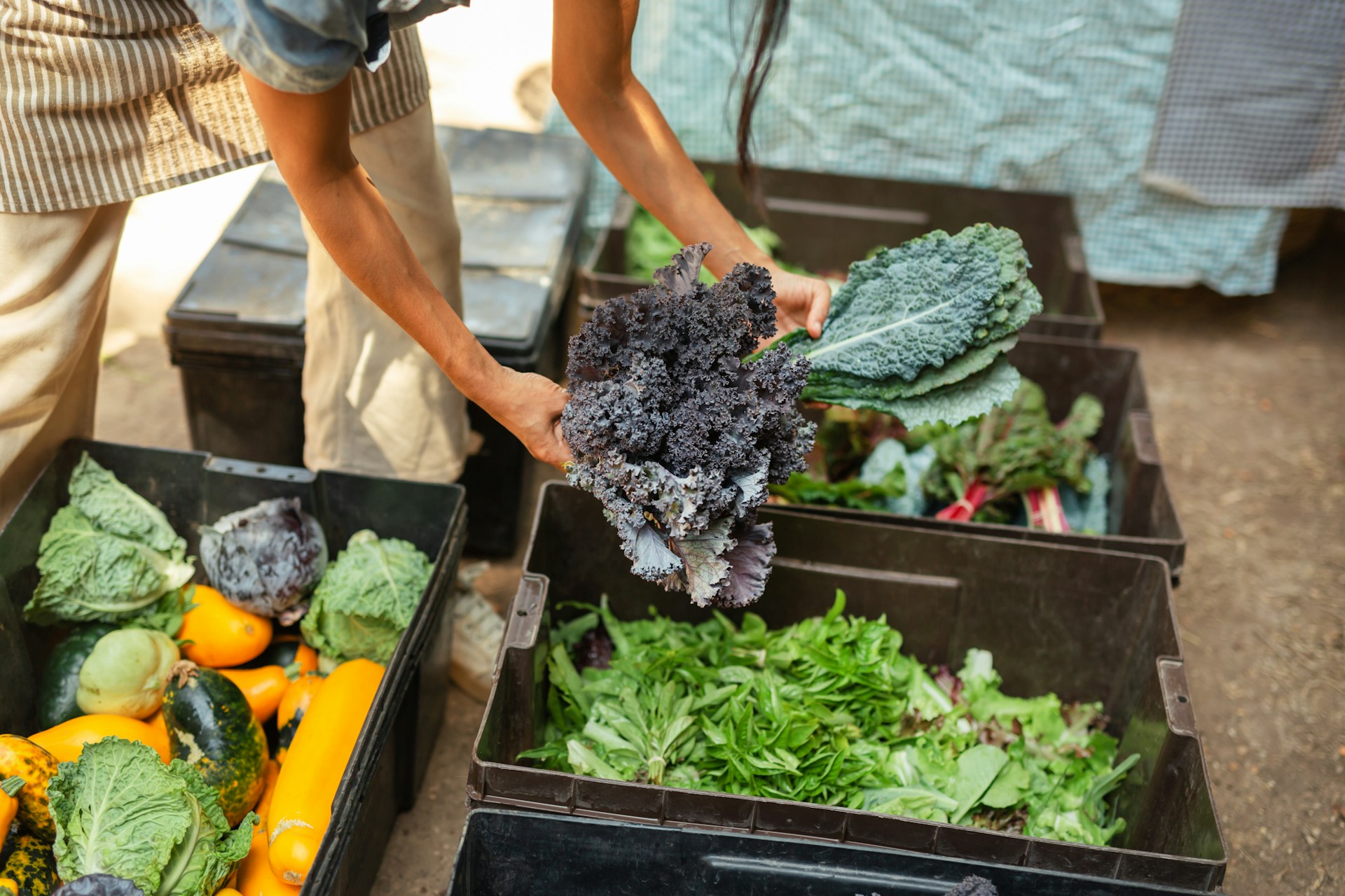 produce at a farmers market