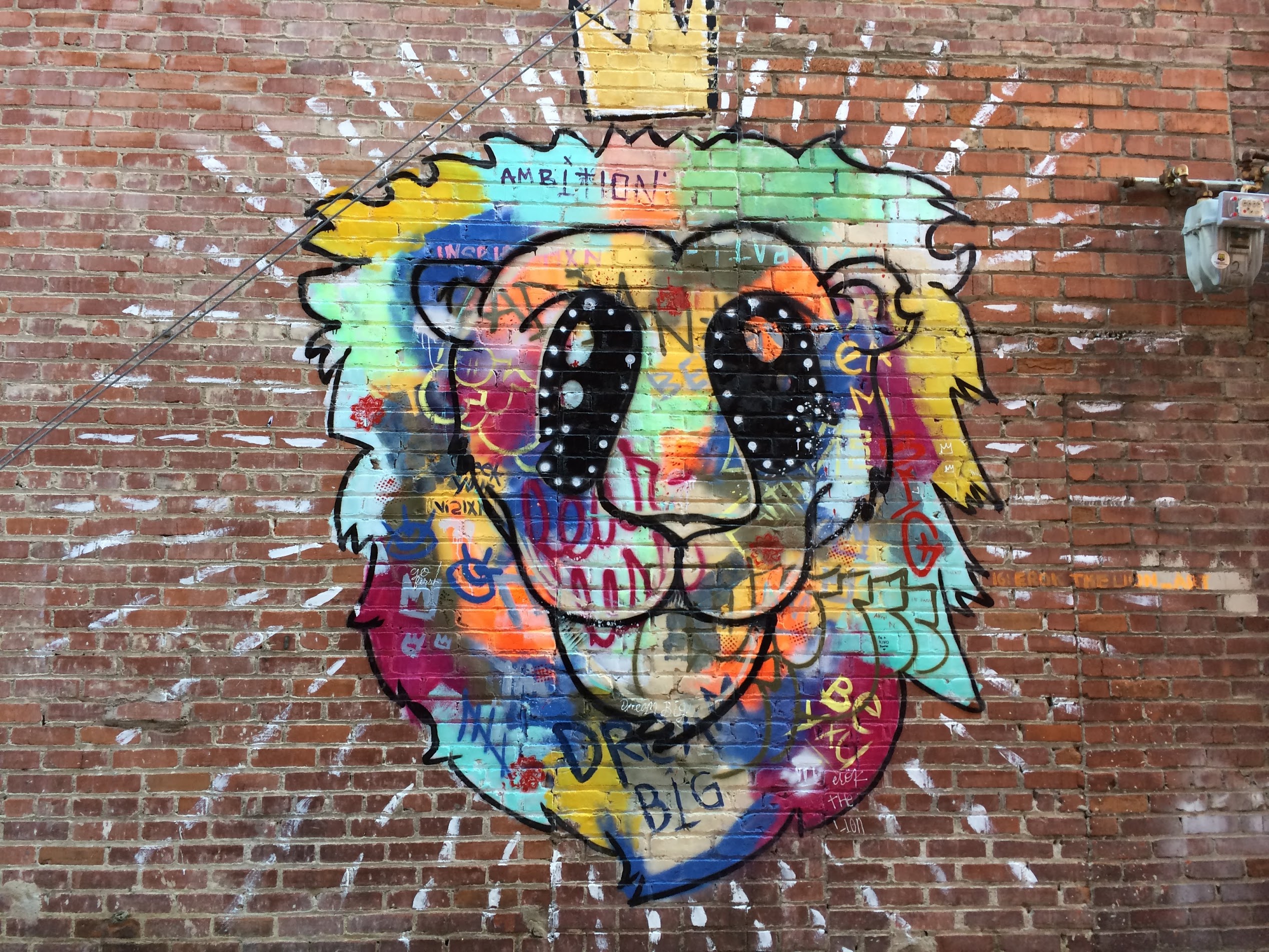 The Lion
