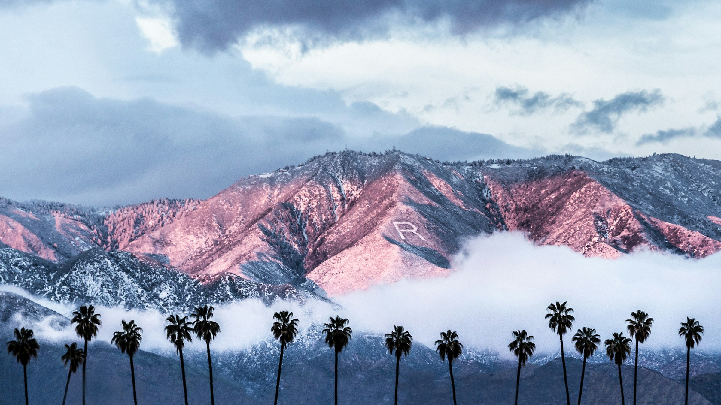 The Redlands' "R" on the San Bernardino Mountains with Palm Trees