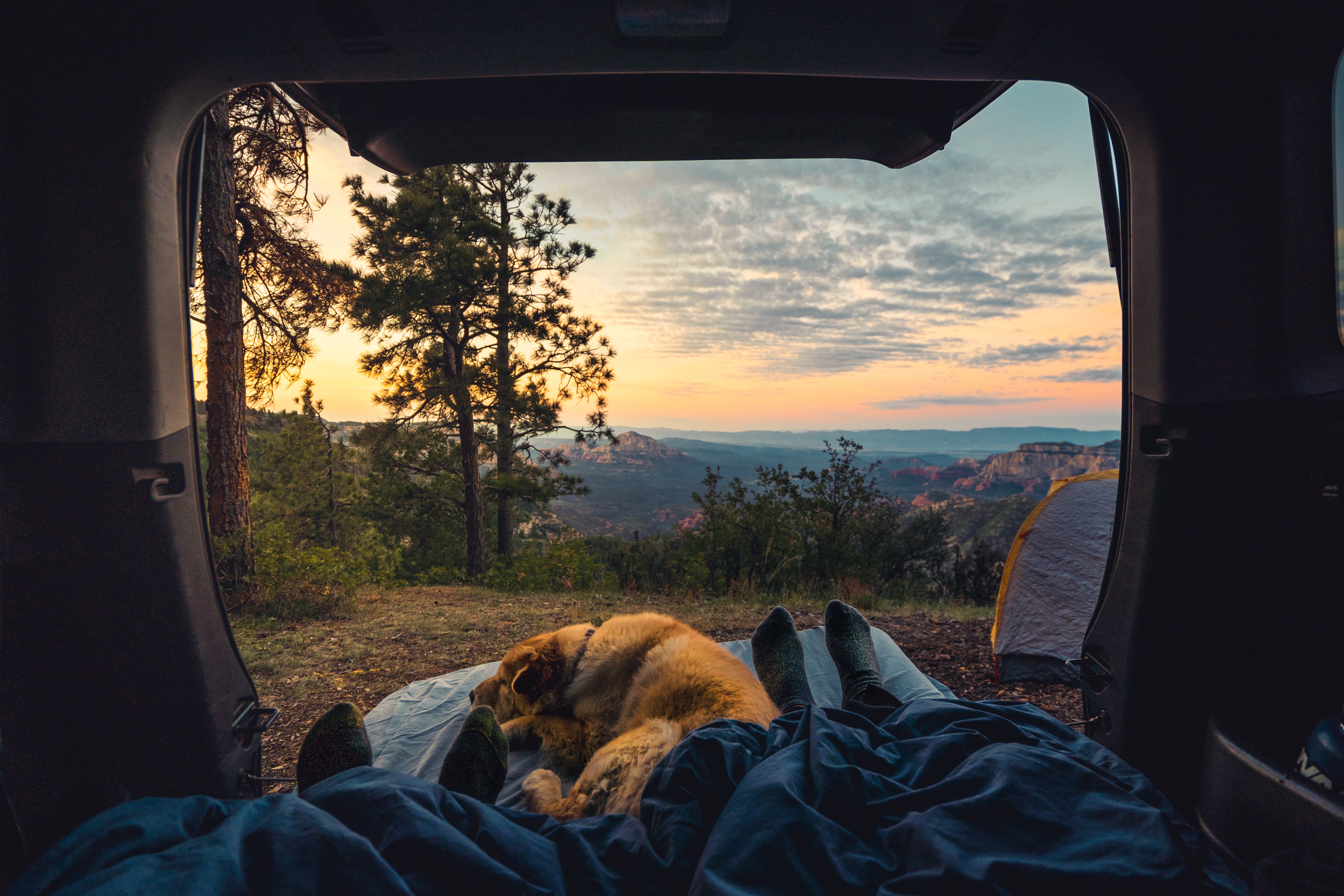 Hero image for Autumn Camping: A Guide For Beginners