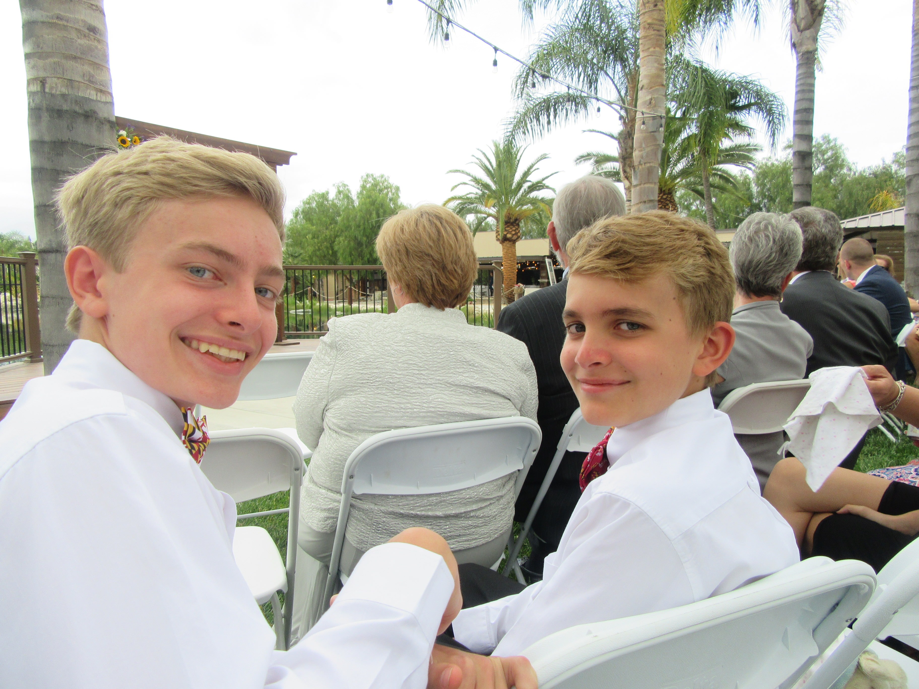 Hero image for Tween Brothers Strike Again (Family Travel Guide)