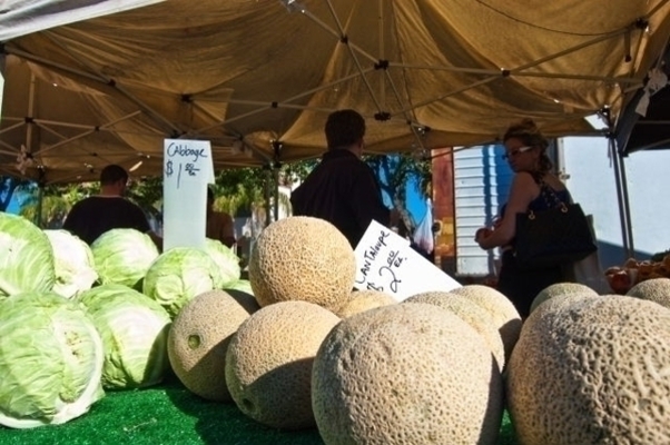 Photo of Downtown Certified Farmers Market