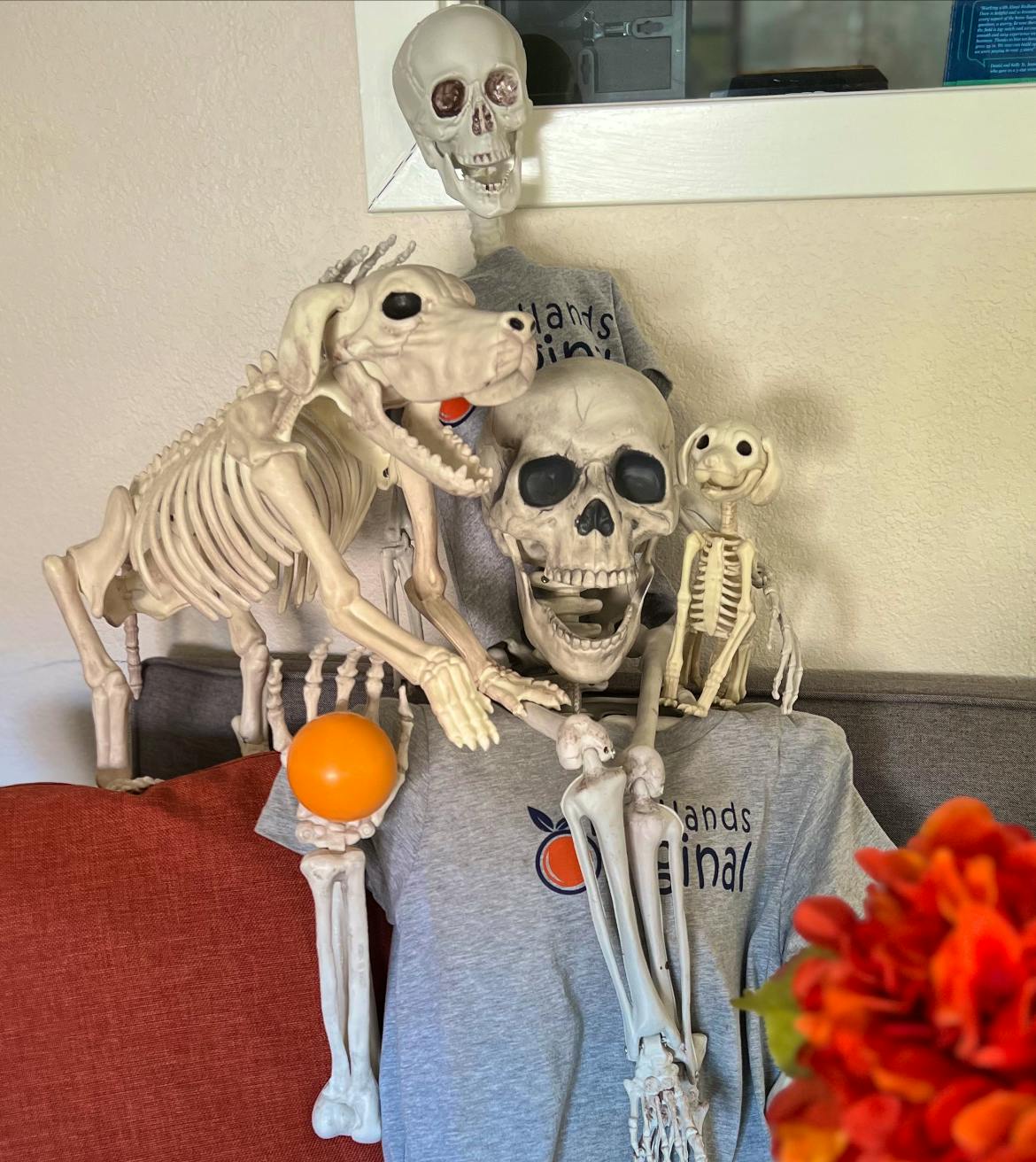Redlands Visitor Center Annual Halloween Party