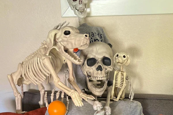 Event image for Annual Redlands Visitor Center Annual Halloween Party