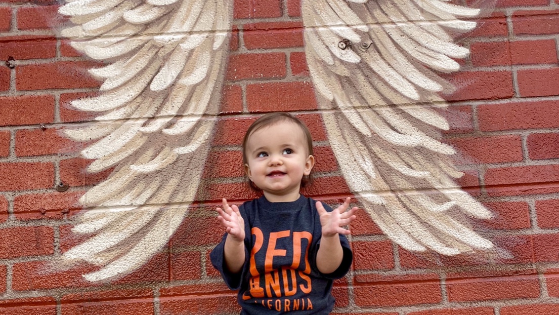 Hero image for The Murals of Downtown Redlands