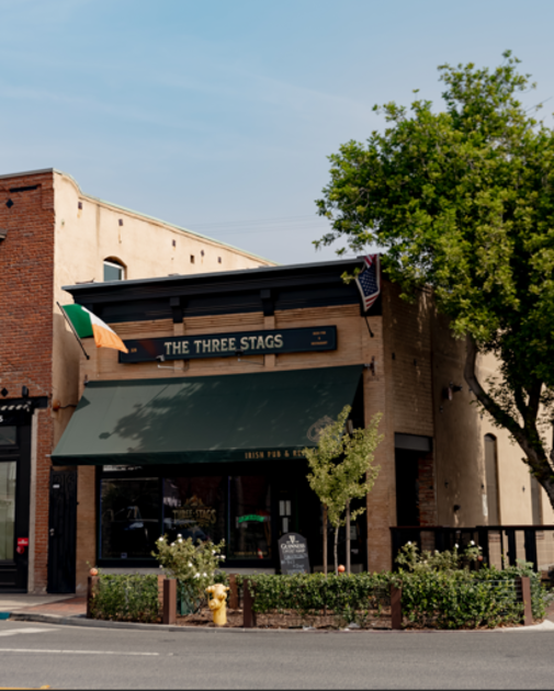 The Three Stags Irish Pub and Restaurant photo 1