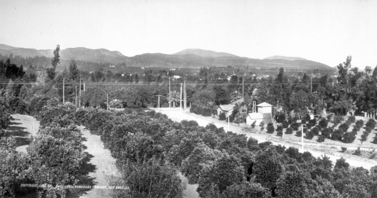 Historic Orange Groves in Redlands