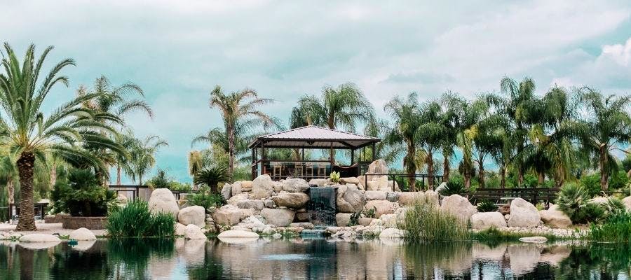 Hero image for Wedding and Event Venues