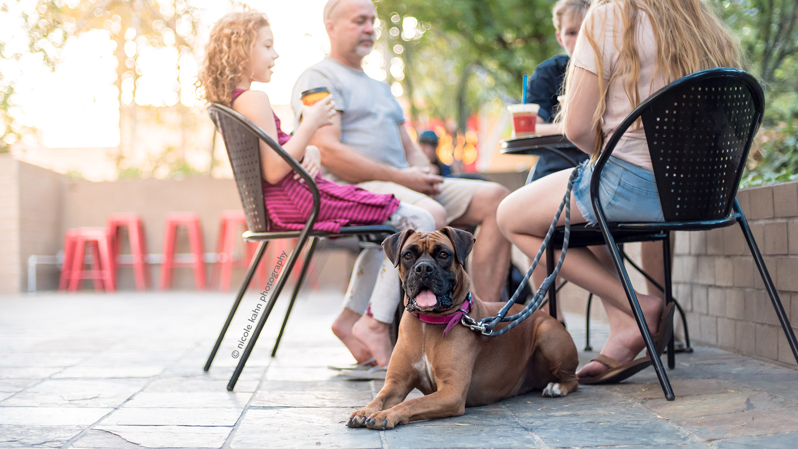 Hero image for 17 Dog-Friendly Restaurants in Redlands