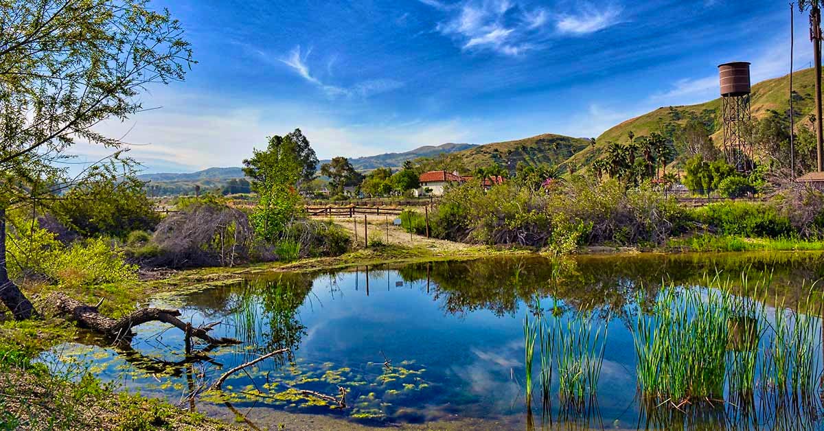 Hero image for Meet San Timoteo Sanctuary, Redlands' Newest Nature Sanctuary