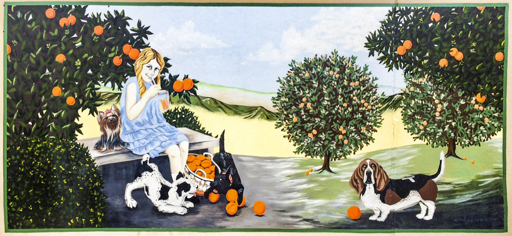 Citrus Pups