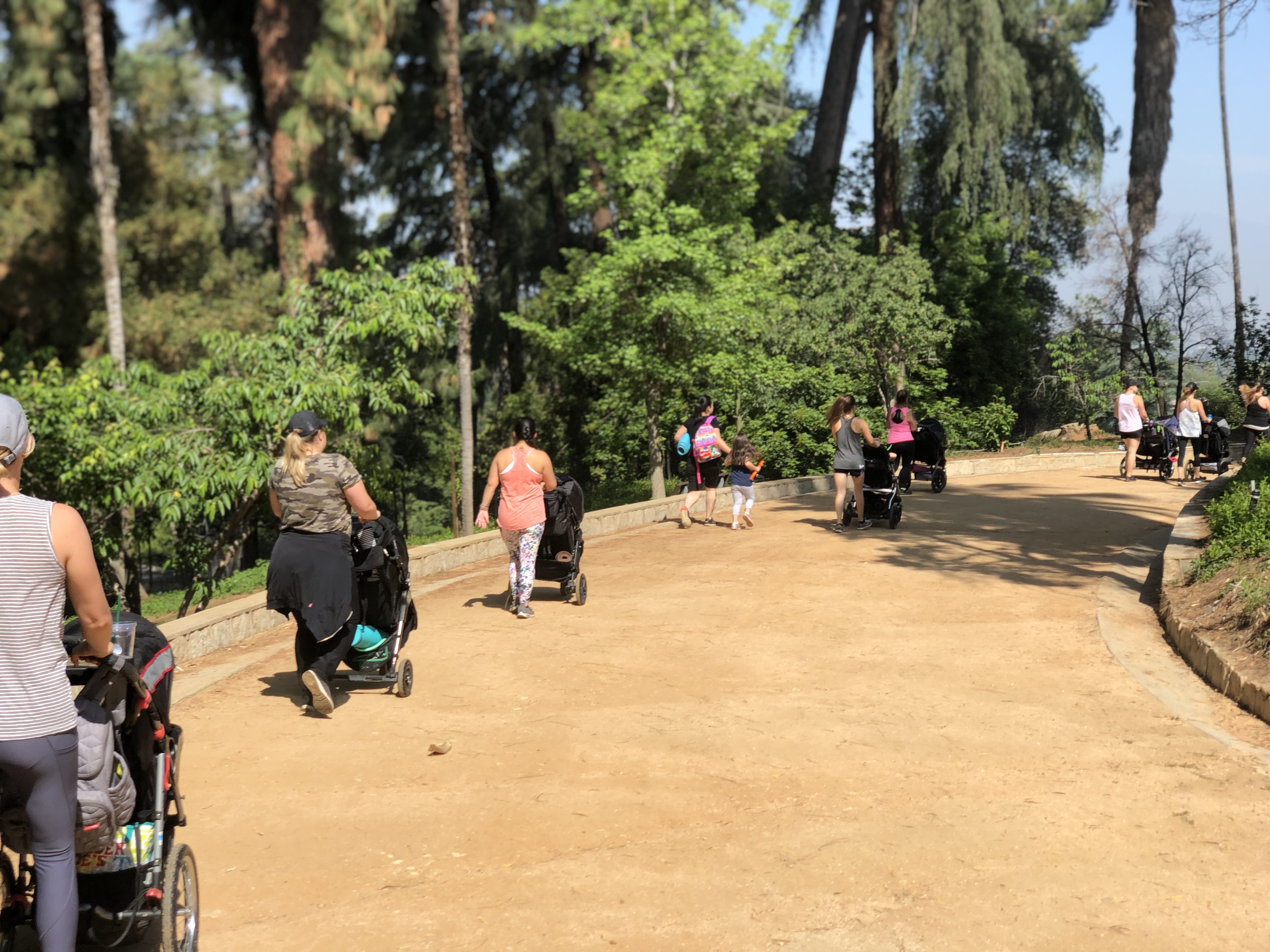 FIT4MOM Stroller Strides group at Prospect Park