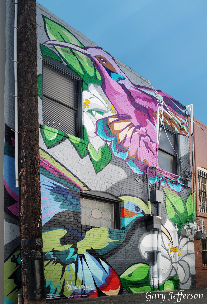 Hummingbird Wall