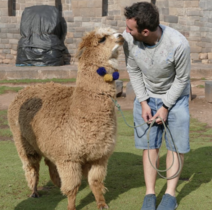 with a lama