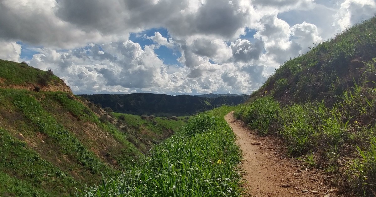 Oakmont and Oakridge Trail