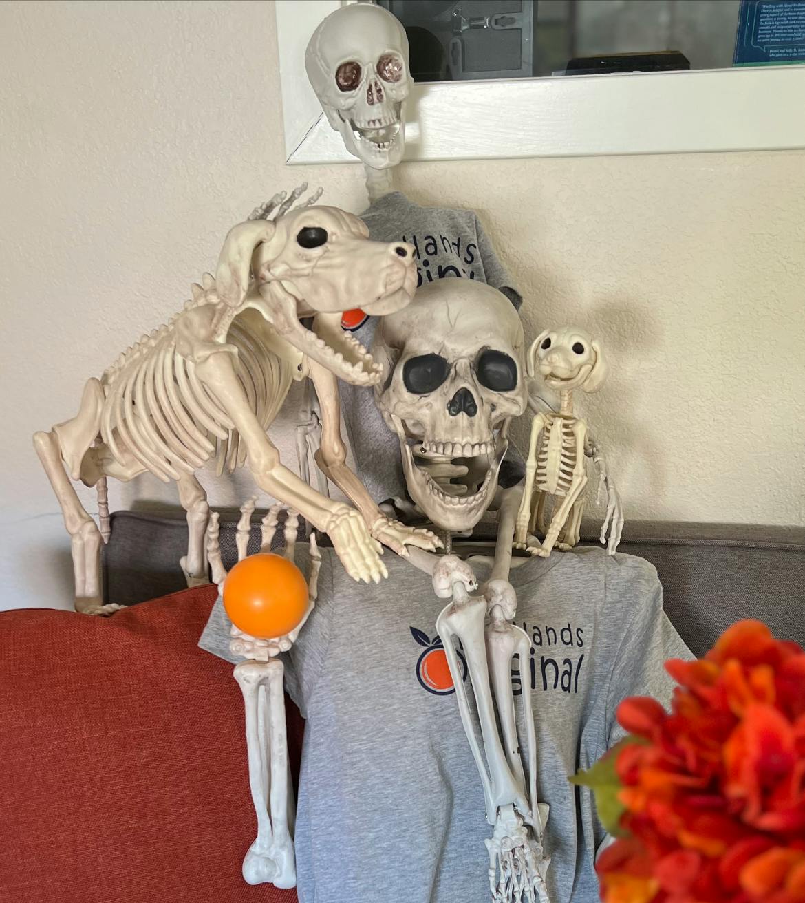 Redlands Halloween Guide (2025)